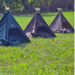 TeePee stan Golden dog 70 x 70 x 90 cm - sivý